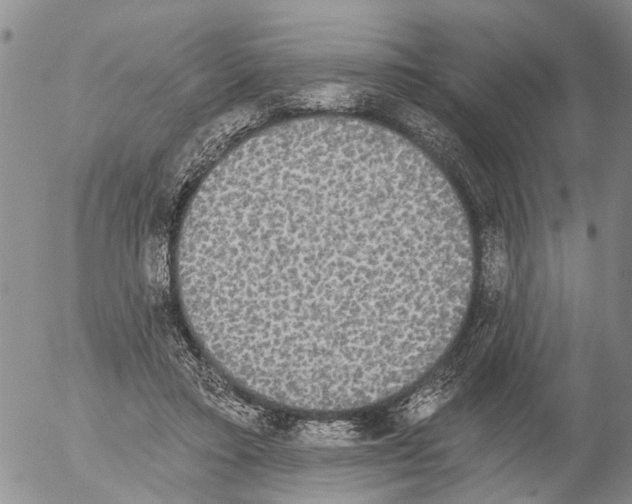 X0000054580403200508300106.png