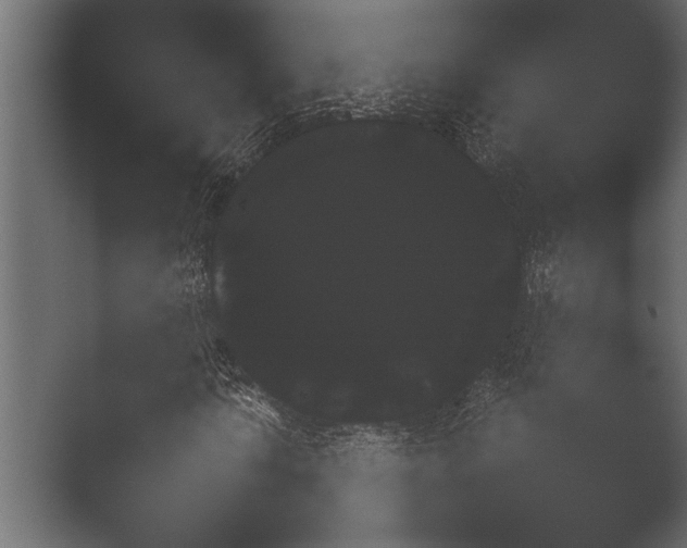 X0000051541010200506281733.png