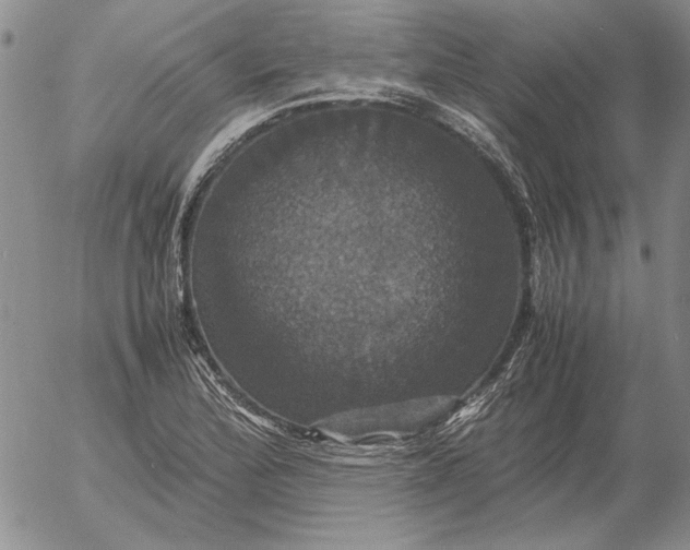 X0000054171172200508101752.png