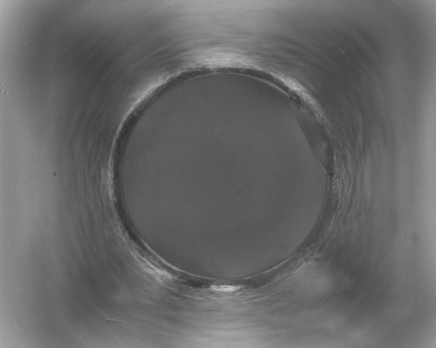 X0000054350391200508190134.png
