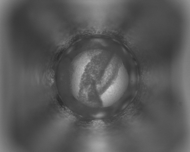 X0000052280719200507132028.png