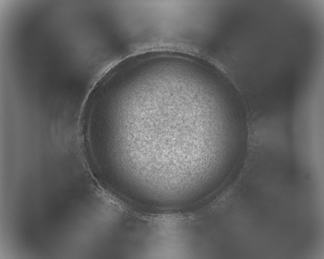 X0000052281074200507132022.png