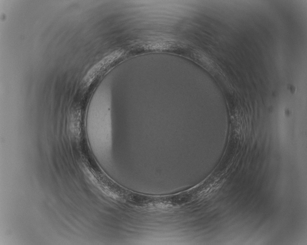 X0000054170586200508101802.png