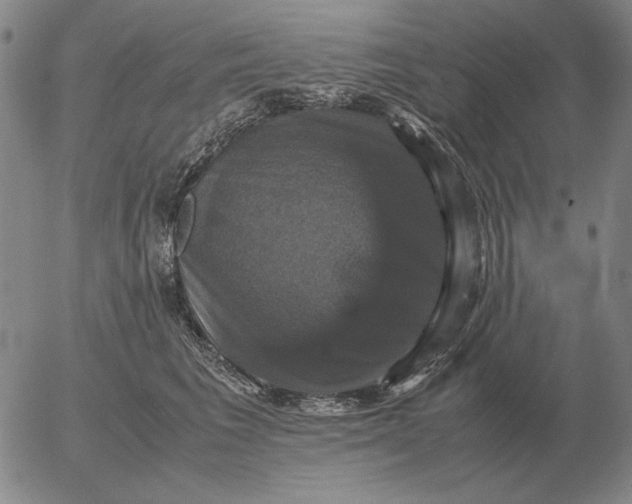 X0000054170613200508101801.png