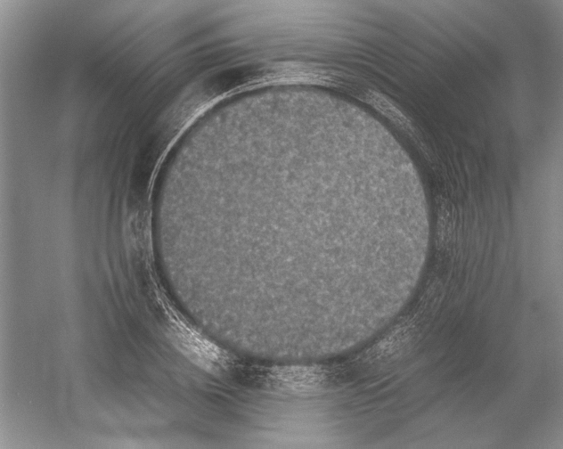 X0000055060836200508161643.png
