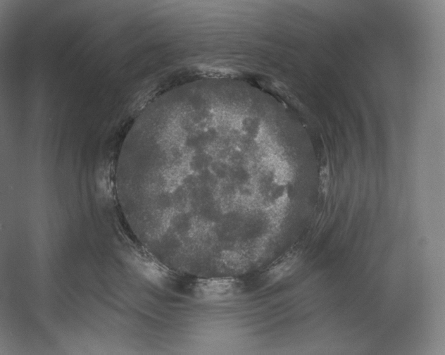 X0000055210671200508301323.png