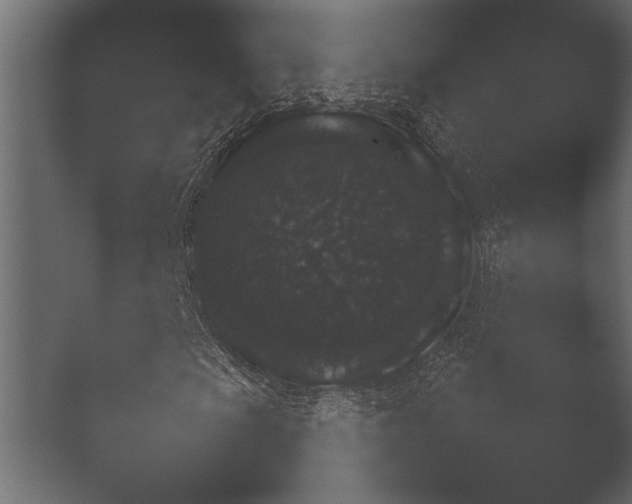 X0000051541009200506281733.png