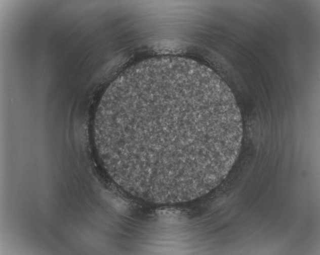 X0000053460690200508112158.png