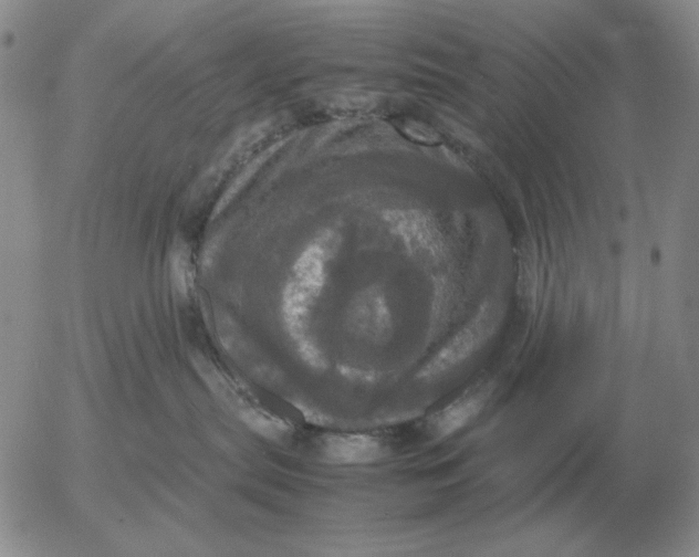X0000054170287200508101807.png