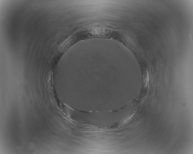 X0000054350233200508190136.png