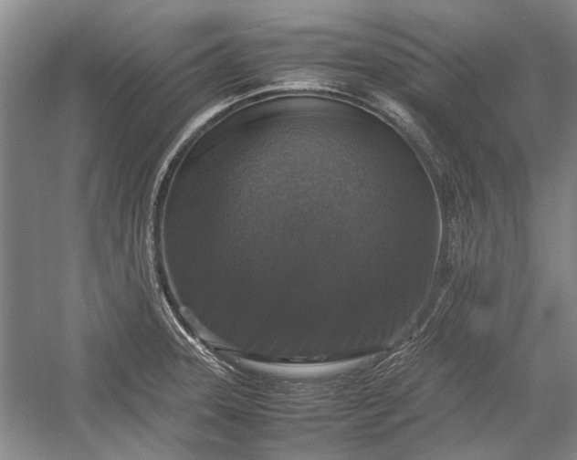 X0000055061331200508161635.png