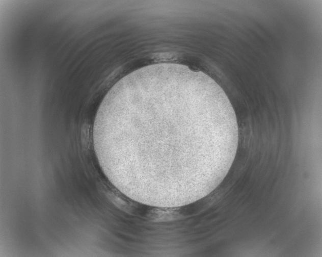 X0000054270093200508261927.png