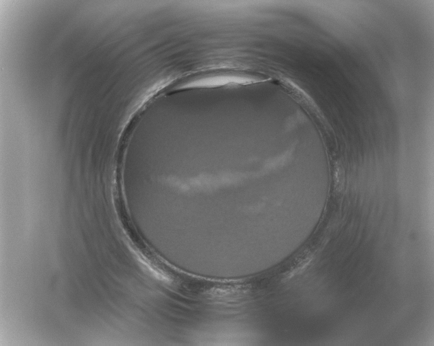 X0000054350725200508190127.png