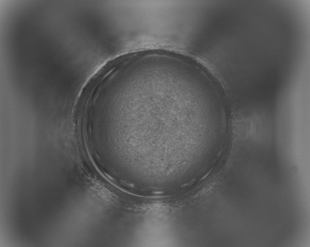 X0000052281023200507132023.png