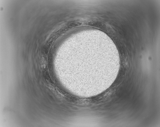 X0000054231253200508171501.png