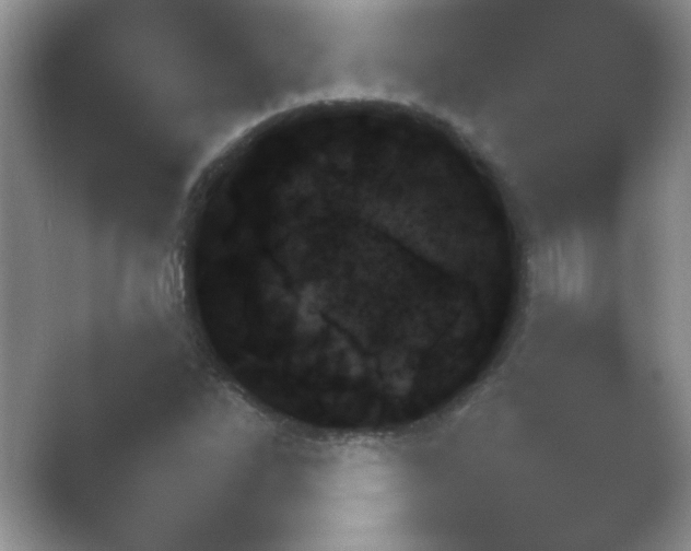 X0000054731262200508171842.png
