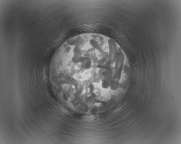 X0000055250131200509071625.png