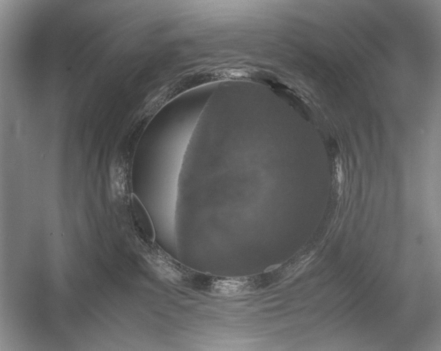 X0000055060139200508161655.png