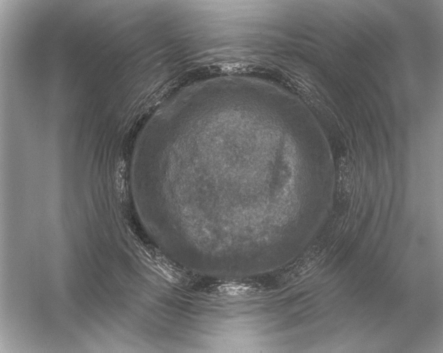 X0000054300650200508042311.png
