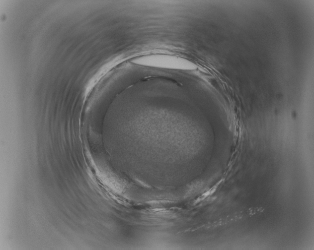 X0000054170244200508101807.png