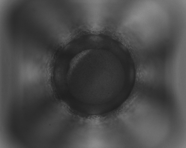 X0000048530235200503171519.png