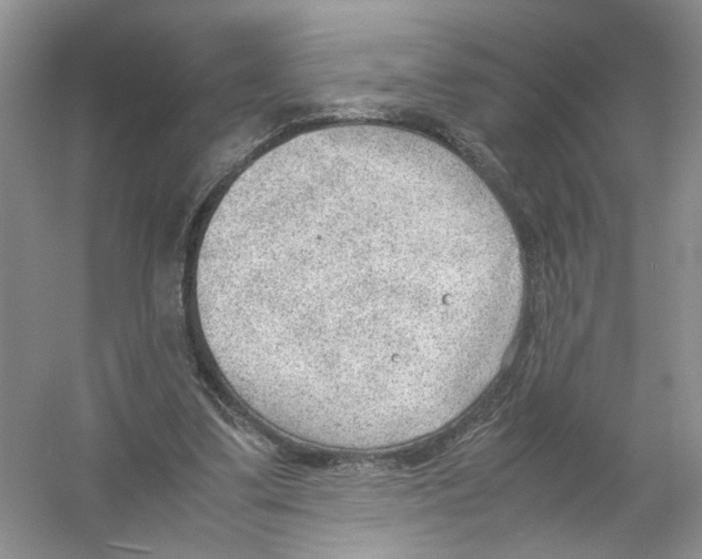 X0000054270299200508261923.png