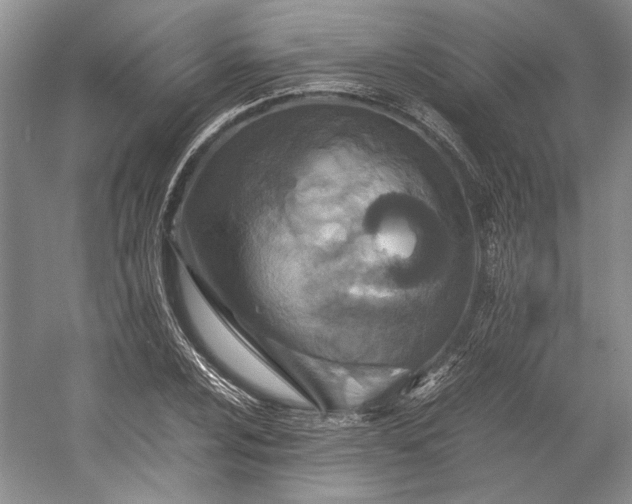 X0000055061024200508161640.png