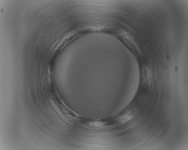 X0000054170212200508101808.png