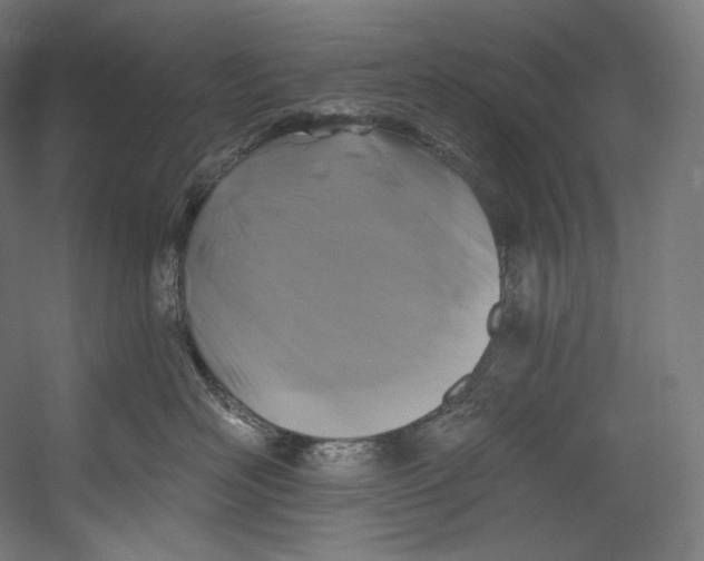 X0000055210526200508301325.png