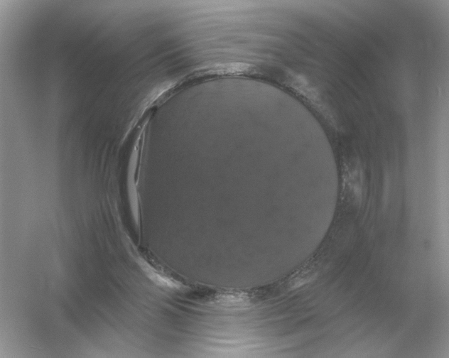 X0000054350110200508190138.png
