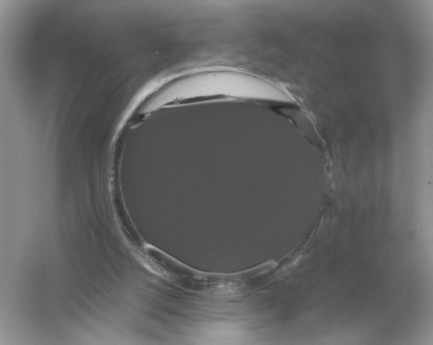 X0000054350056200508190139.png