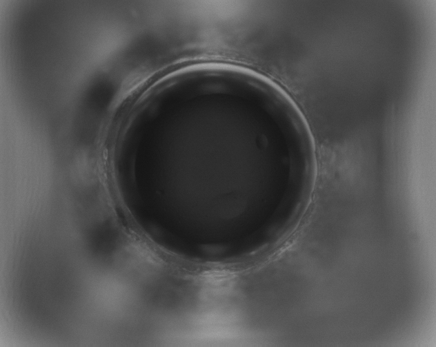X0000054730150200508171901.png