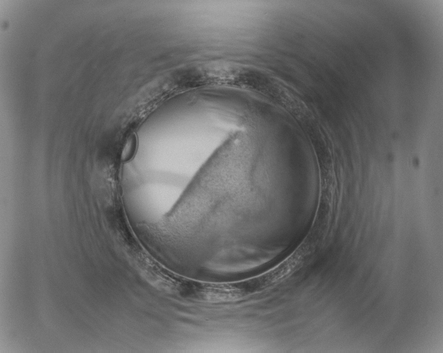 X0000054650707200508091642.png