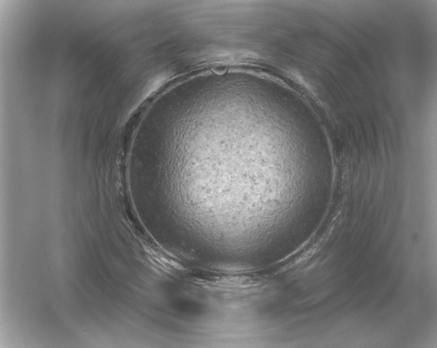 X0000054301211200508042301.png