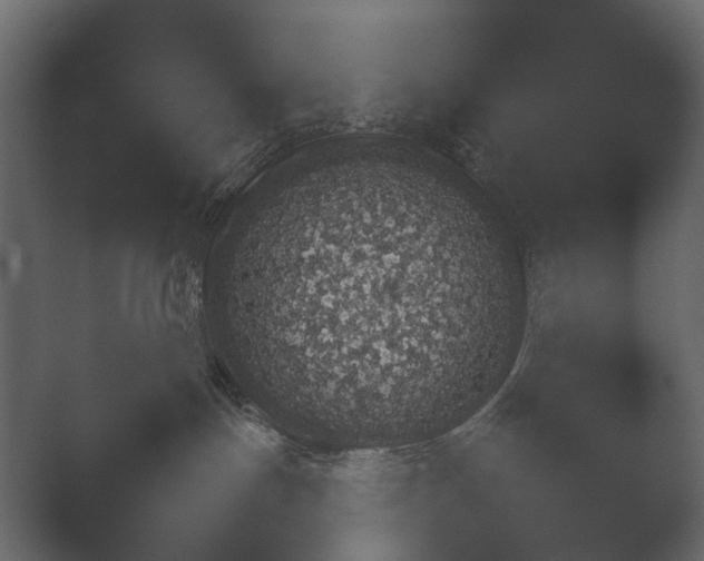 X0000051540191200506281748.png
