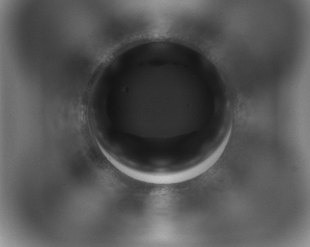 X0000054730164200508171901.png