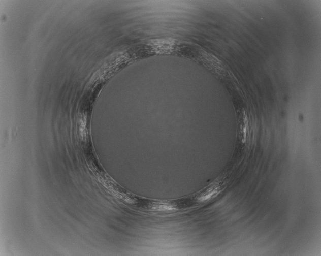 X0000054170610200508101801.png