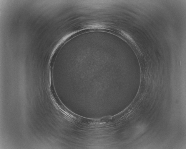 X0000055061323200508161635.png