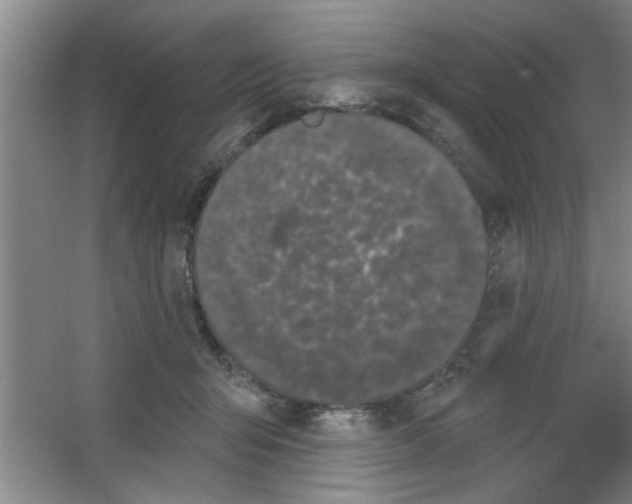X0000053460415200508112202.png