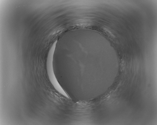 X0000054350917200508190124.png
