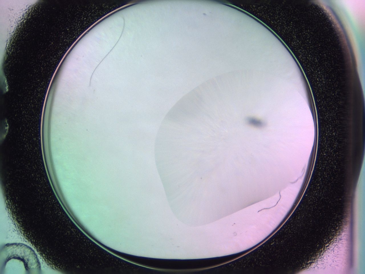 01gi_C10_ImagerDefaults_0.jpg