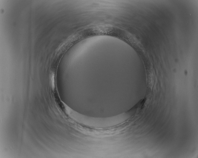 X0000054170027200508101811.png