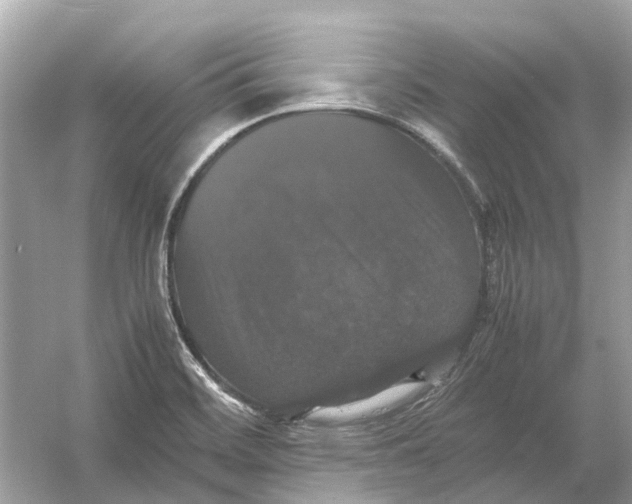 X0000054351468200508190115.png