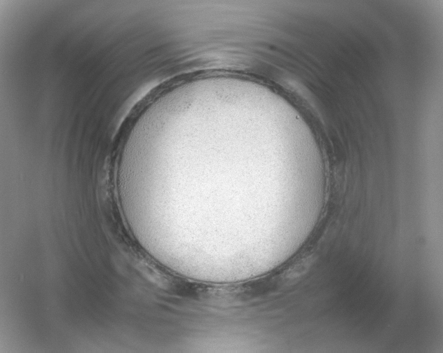 X0000054330875200508111916.png