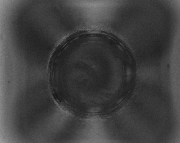 X0000043160674200411300945.png