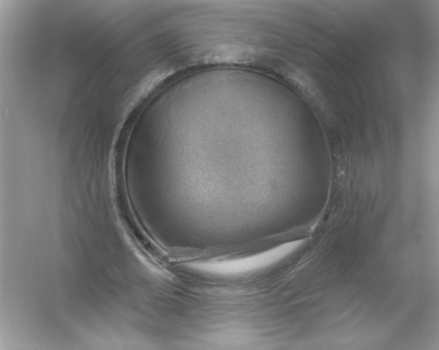 X0000054300678200508042311.png