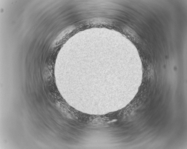 X0000054230824200508171508.png