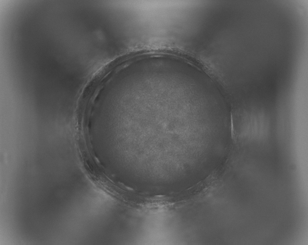 X0000052150627200507051952.png