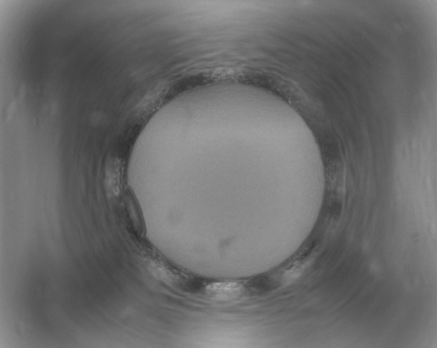 X0000054350133200508190138.png