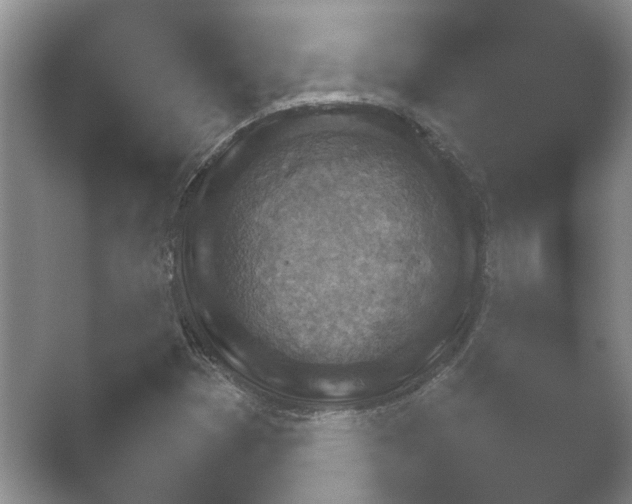 X0000052151353200507051940.png